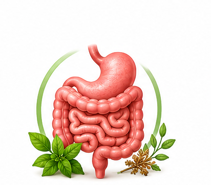 LIVER HEALTH & WELLNESS